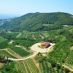 Accordini Azienda Agricola